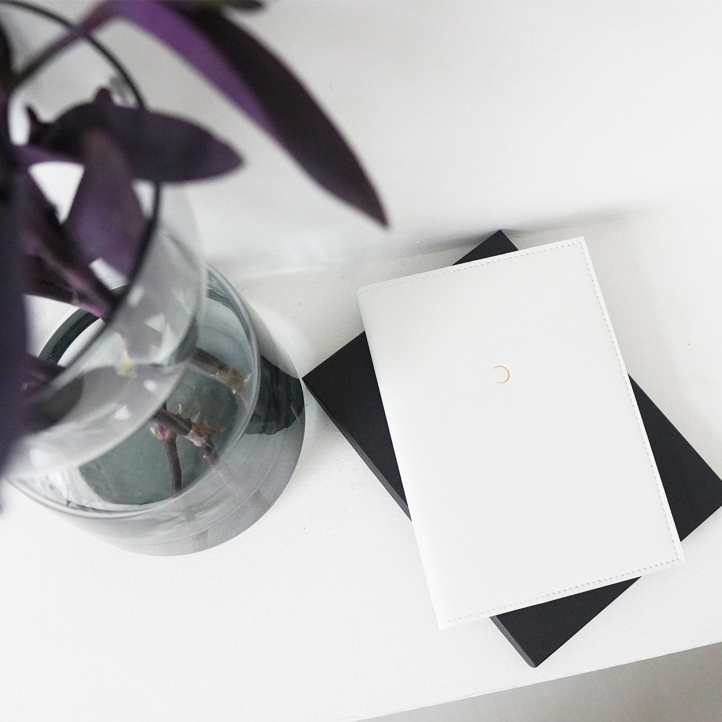 【NEW】Moon & Nature Diary 2026