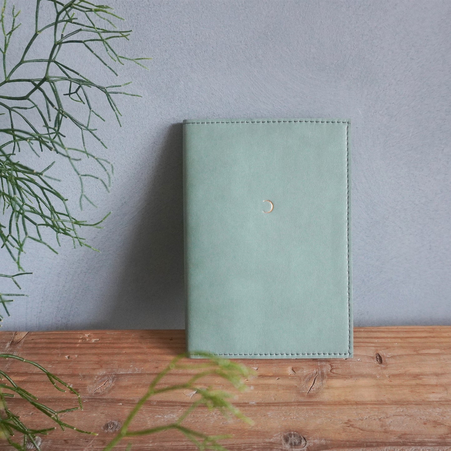 Moon & Nature Diary 2025